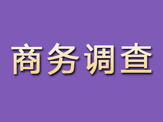 理县商务调查